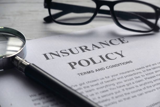 istockphoto 1295819436 612x612 1.jpg